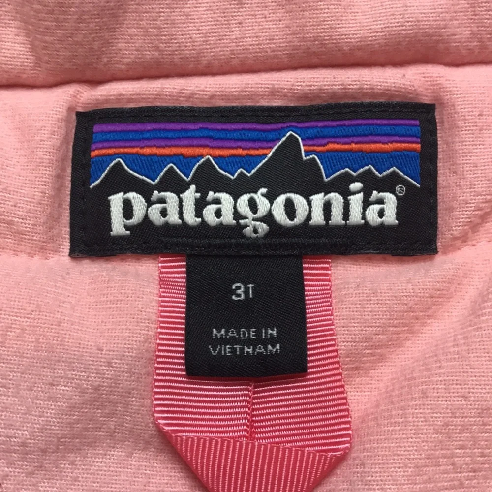 Patagonia Ski Jacket (size 3T)